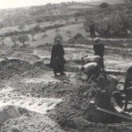 Azienda Agricola Fratelli Girimonti