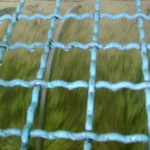 Fasi di produzione dell'olio