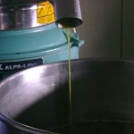Fasi di produzione dell'olio