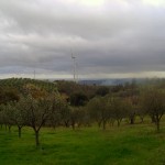 Azienda Agricola Fratelli Girimonti